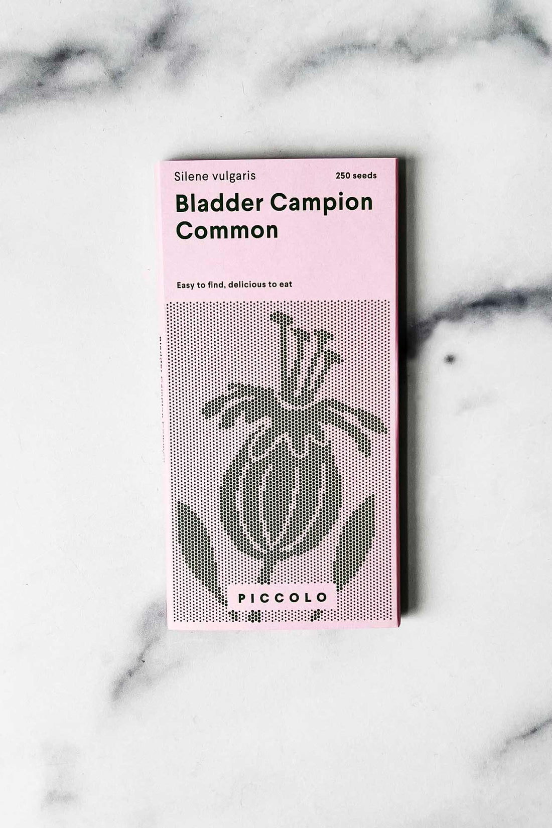 Piccolo Bladder Campion Common