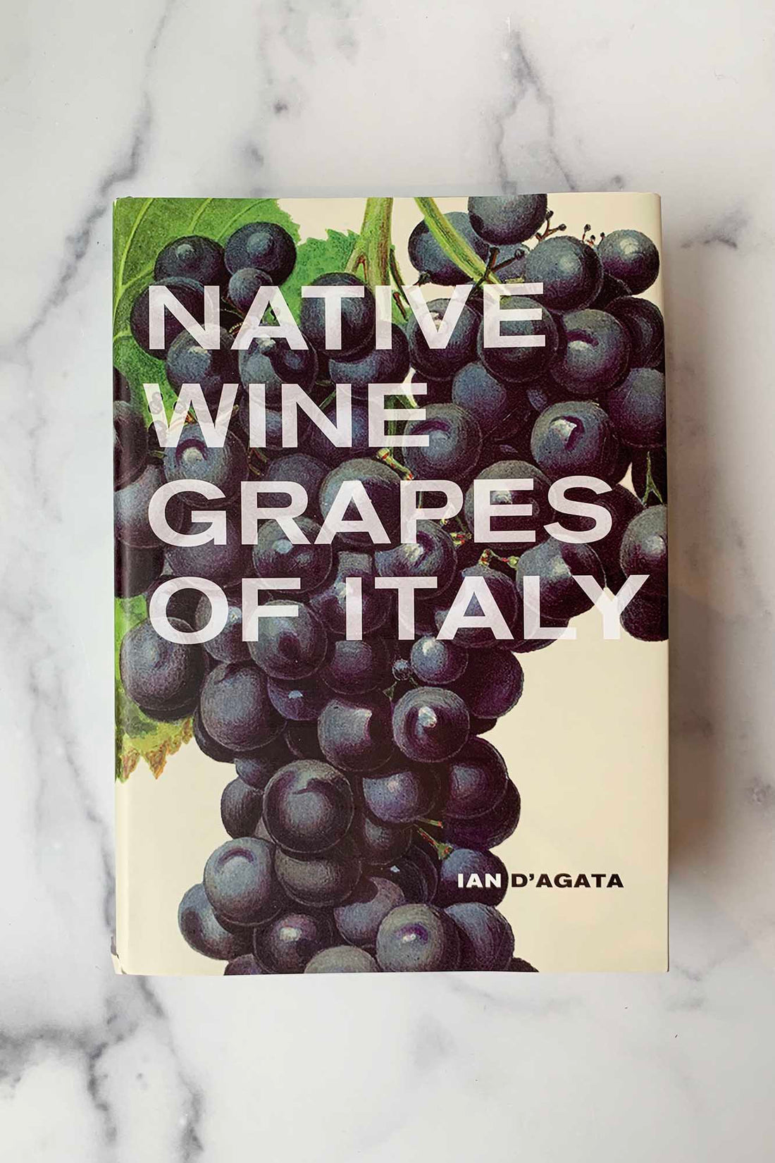 Native Wine Grapes of Italy