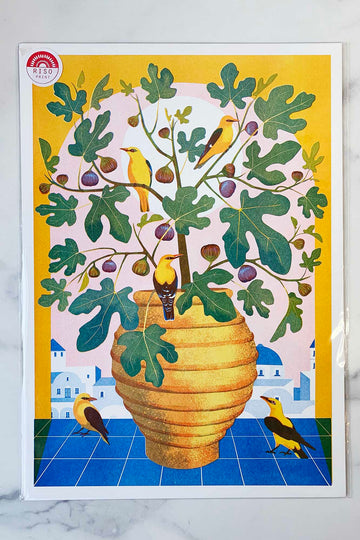 Printer Johnson Santorini Risograph